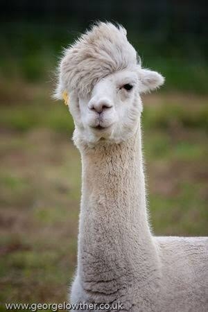 今迄付き合った人、誰に似てますか？