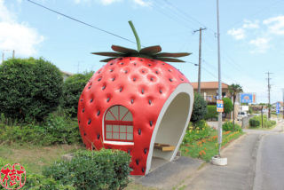 苺の画像を集めるトピ。