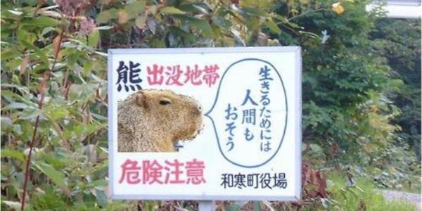 突っ込みどころ満載な画像を貼るトピ