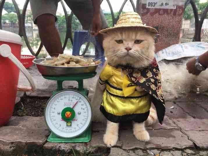 突っ込みどころ満載な画像を貼るトピ