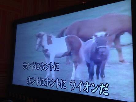 突っ込みどころ満載な画像を貼るトピ