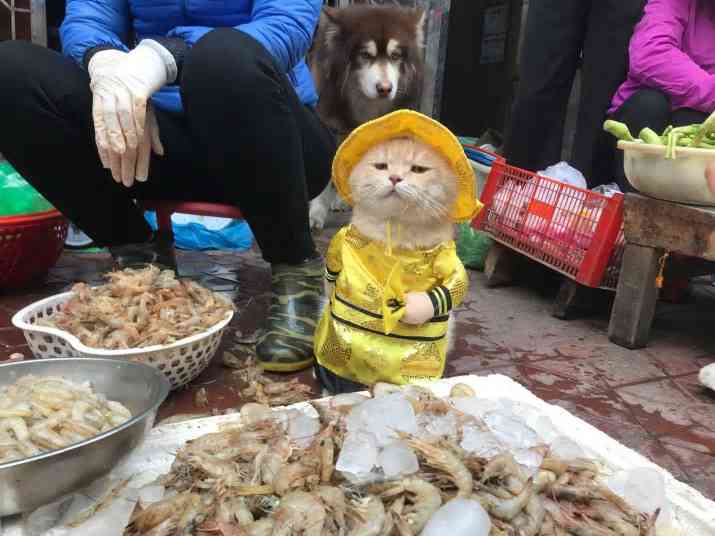 突っ込みどころ満載な画像を貼るトピ