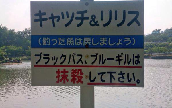 突っ込みどころ満載な画像を貼るトピ