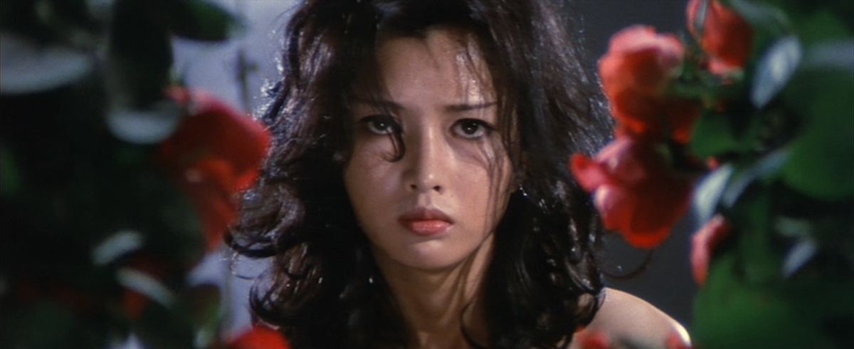 多岐川裕美の娘・華子　週3回事務のバイト…時給1150円