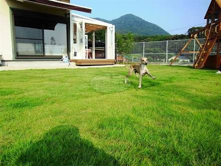 人の家でのバーベキューにいくらまでなら出せる？