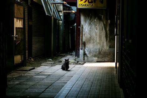 世界の路地裏画像を貼るトピ