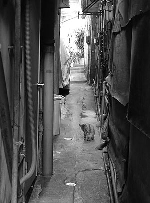 世界の路地裏画像を貼るトピ