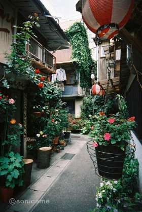 世界の路地裏画像を貼るトピ