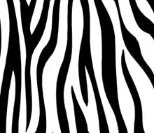 Zeebra、「ゼブラ」と名前間違えられ激怒　2ショット撮ったファンに...「完全なる撮り損」