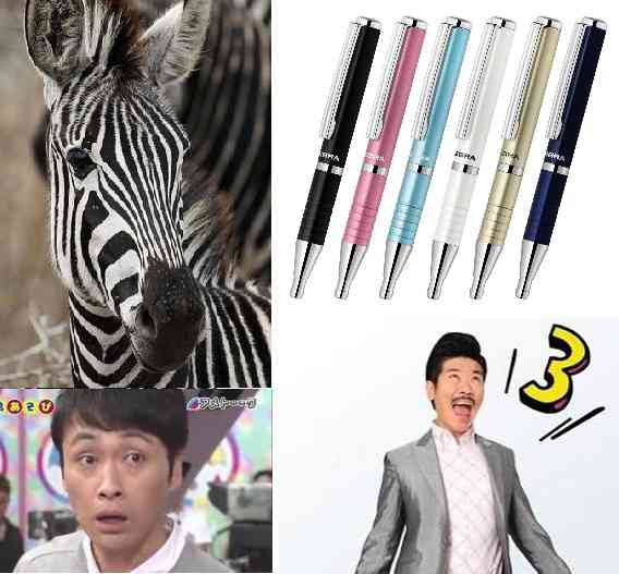 Zeebra、「ゼブラ」と名前間違えられ激怒　2ショット撮ったファンに...「完全なる撮り損」