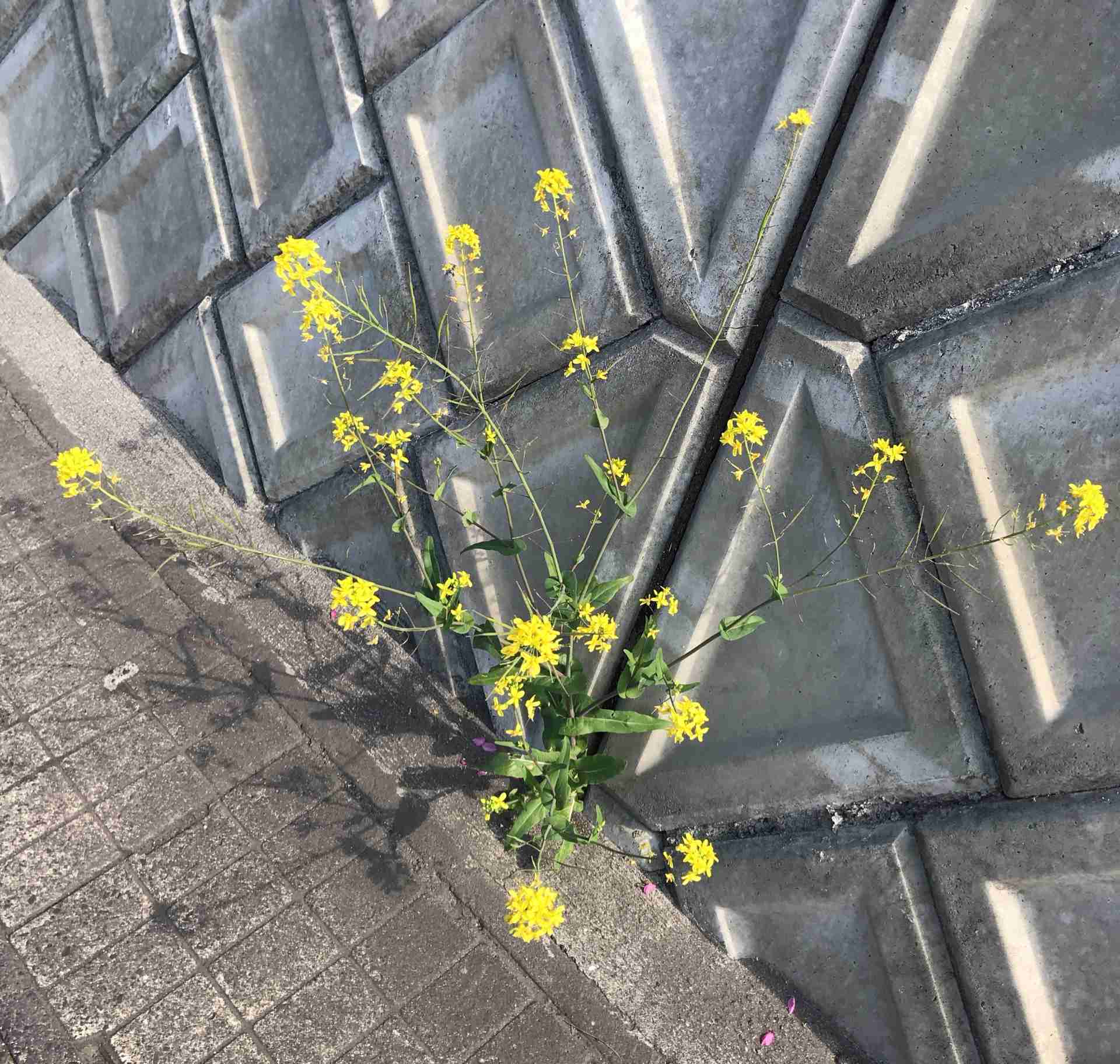 生活感溢れる写真☆part3