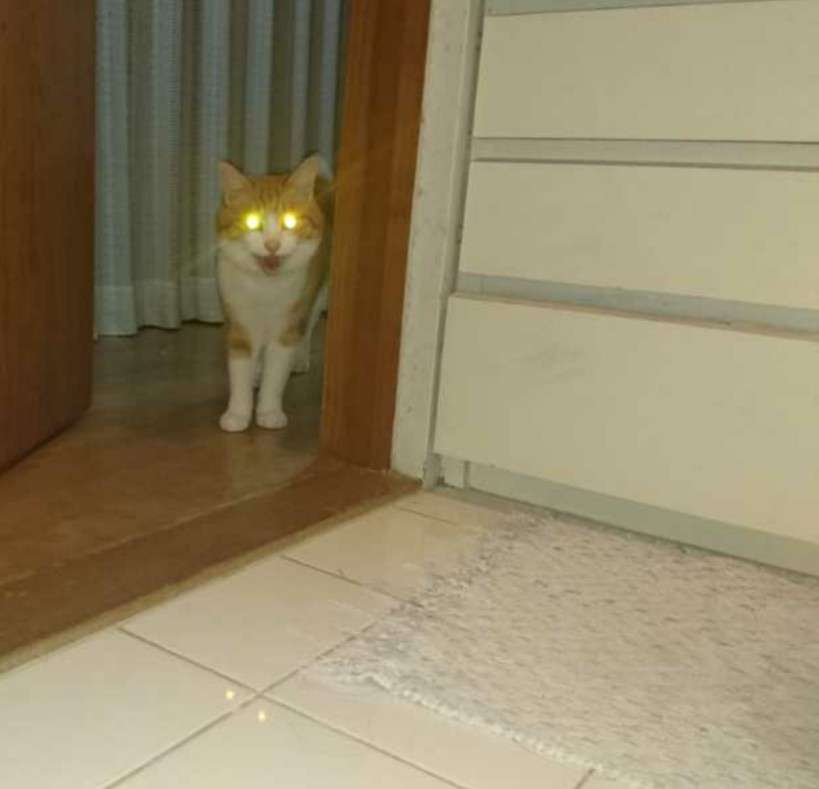 生活感溢れる写真☆part3