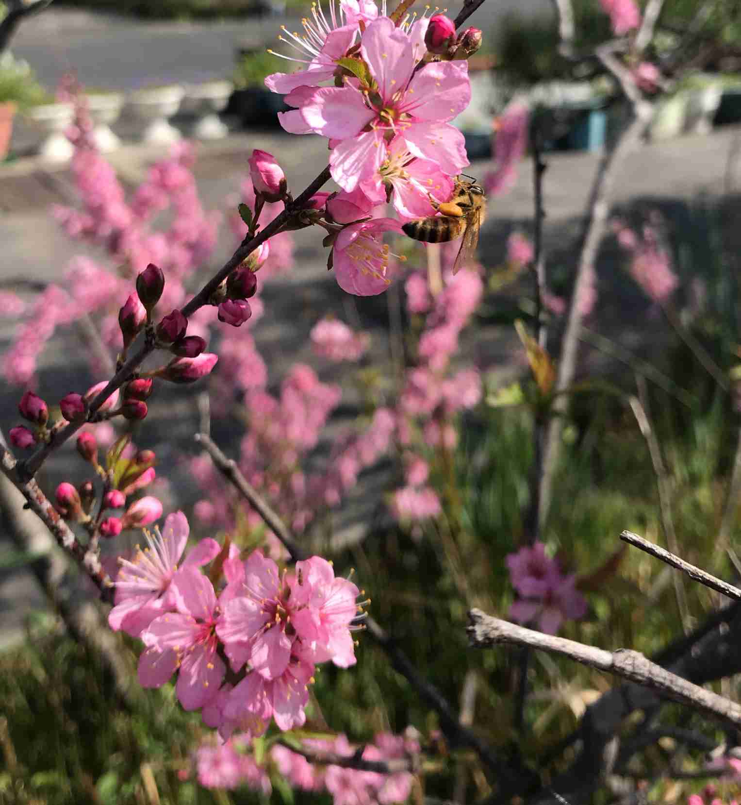 生活感溢れる写真☆part3