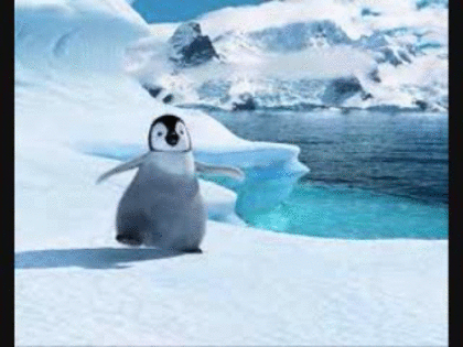 1番好きな動物は何ですか?