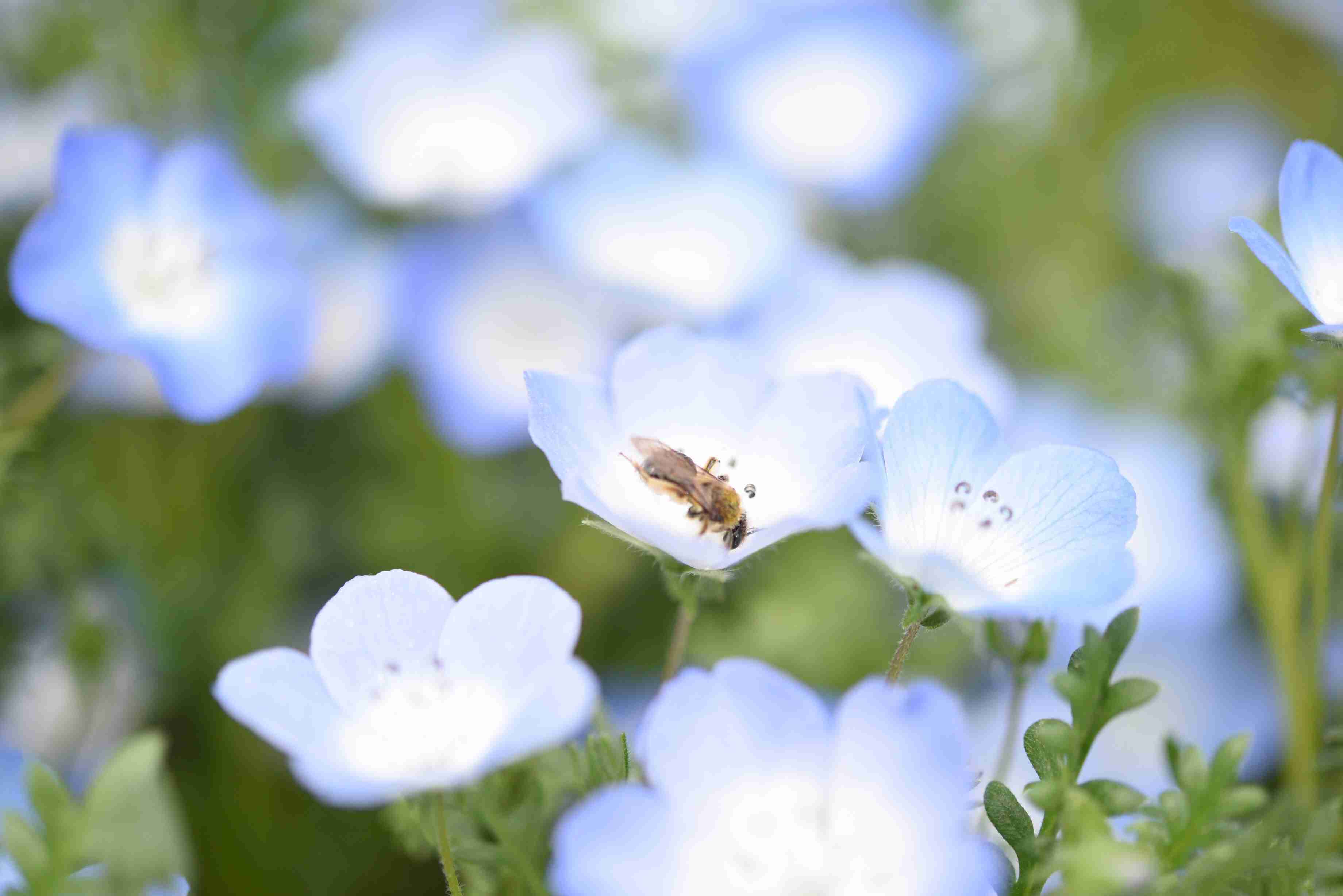 茨城県民集まれ〜(o^^o)