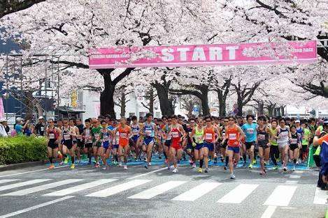 茨城県民集まれ〜(o^^o)