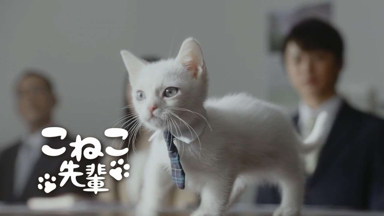 可愛すぎて、綺麗すぎて衝撃を受けたCMや表紙