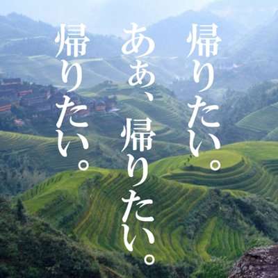 今日のヤバい報告