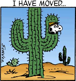 エッチの時の失敗談