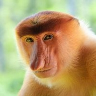 元キャバ嬢・立花胡桃、2日で1億円稼ぐキャバ嬢に激怒「ふざけんじゃない」