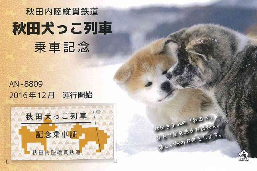 秋田犬と柴犬を交互に貼ろう！