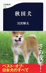 秋田犬と柴犬を交互に貼ろう！