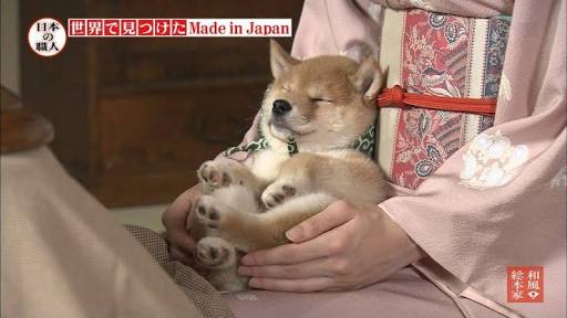 秋田犬と柴犬を交互に貼ろう！