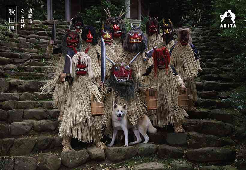 秋田犬と柴犬を交互に貼ろう！