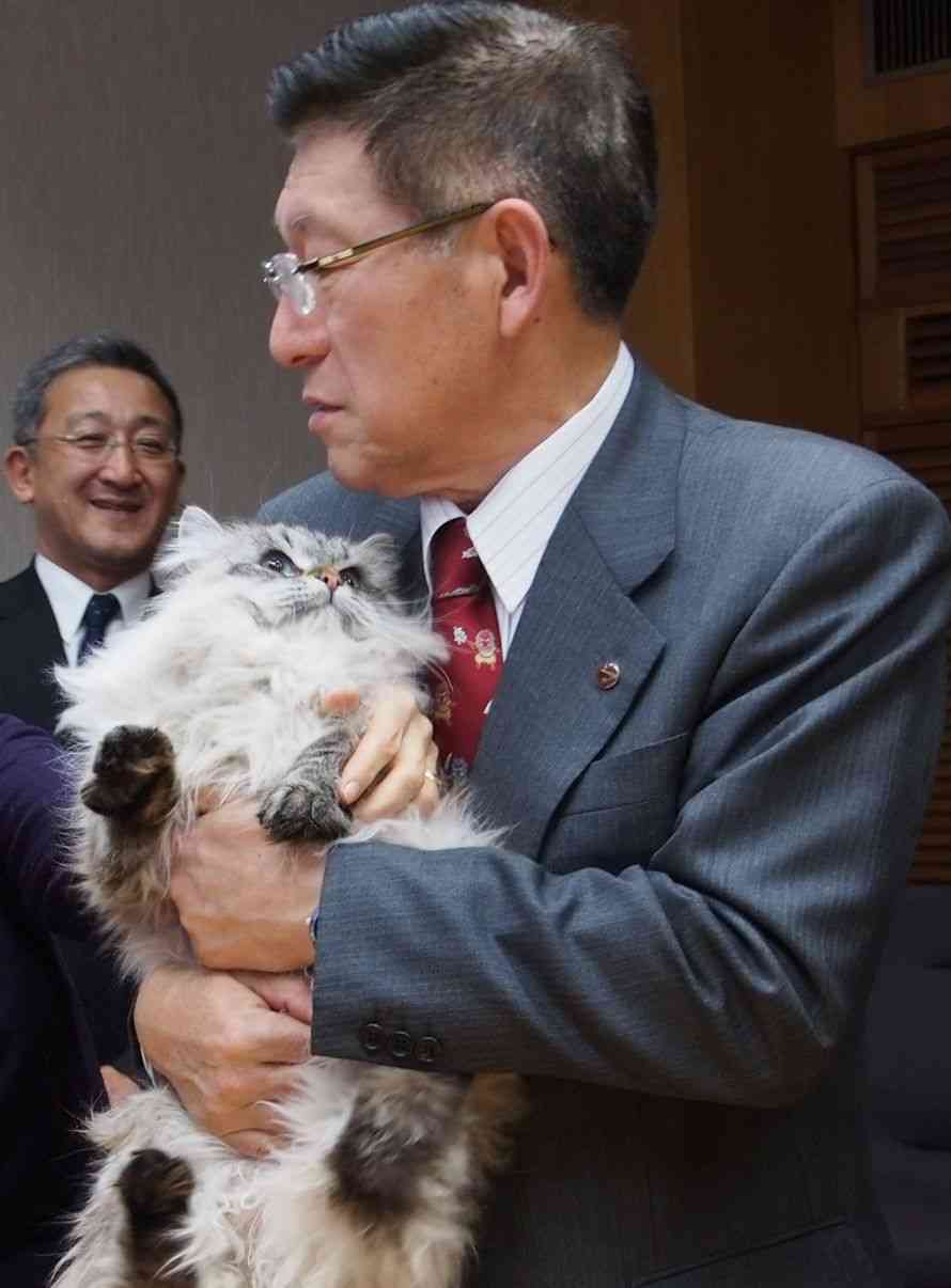 秋田犬と柴犬を交互に貼ろう！