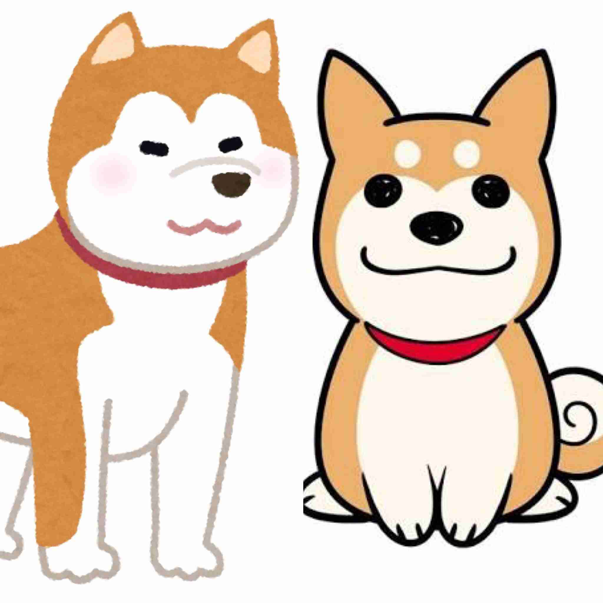 秋田犬と柴犬を交互に貼ろう！