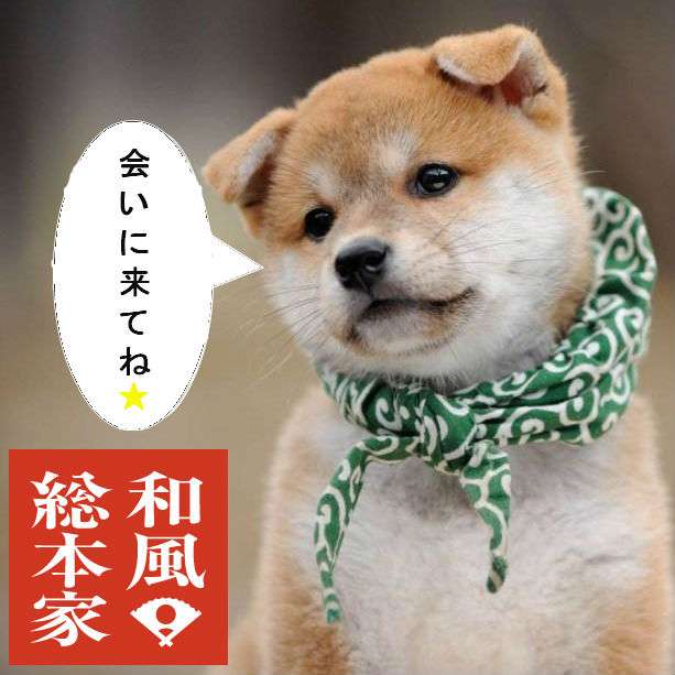 秋田犬と柴犬を交互に貼ろう！