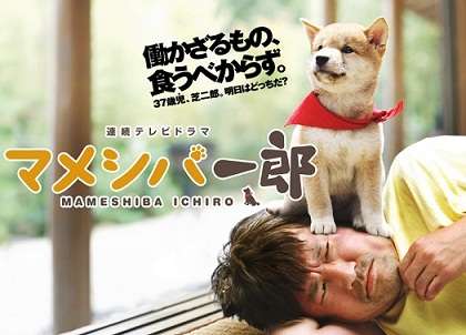 秋田犬と柴犬を交互に貼ろう！