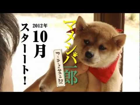 秋田犬と柴犬を交互に貼ろう！