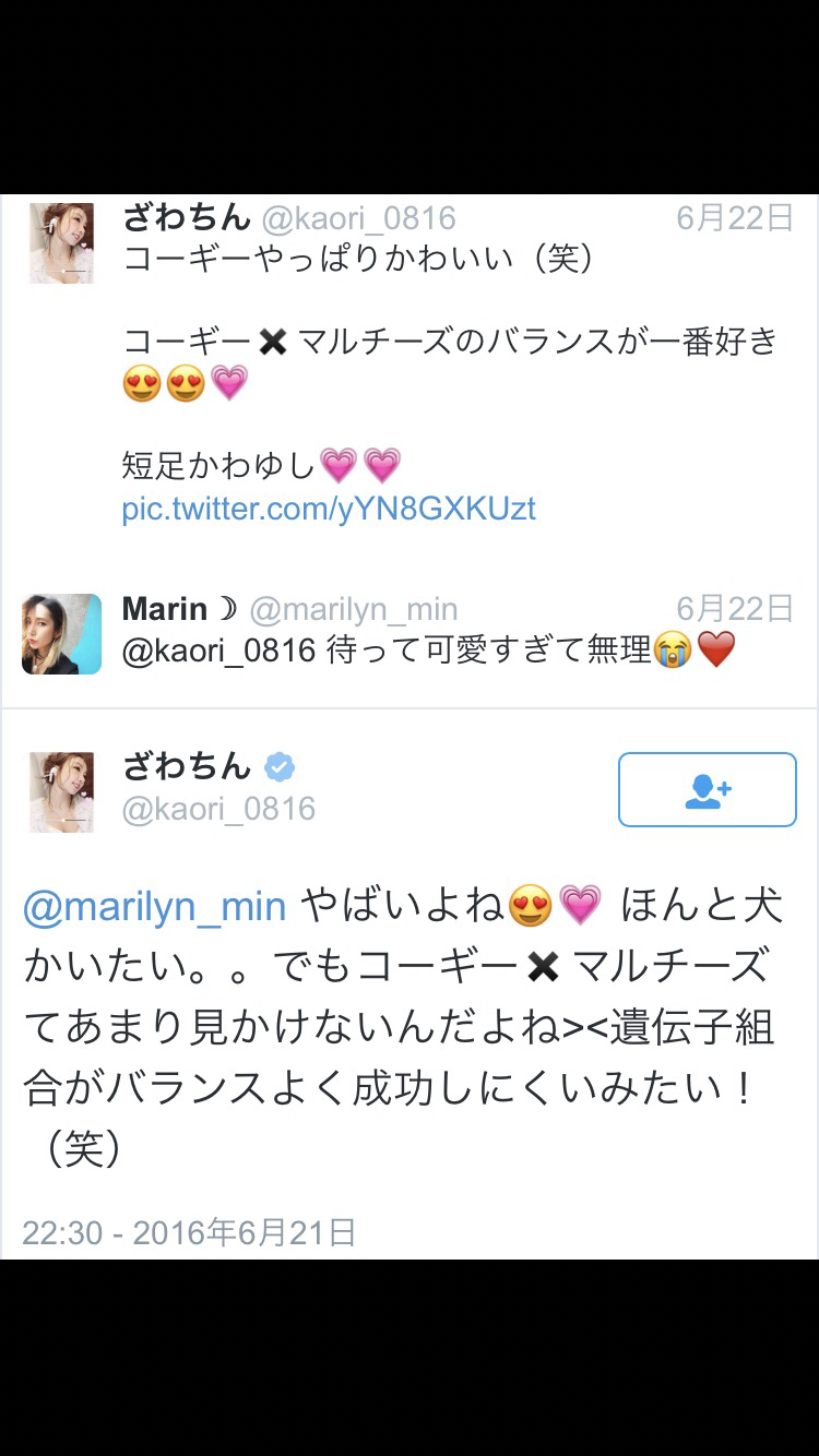 2年前の廃盤コスメ紹介、「偽物グッチ」にインフル狂言…ざわちんの