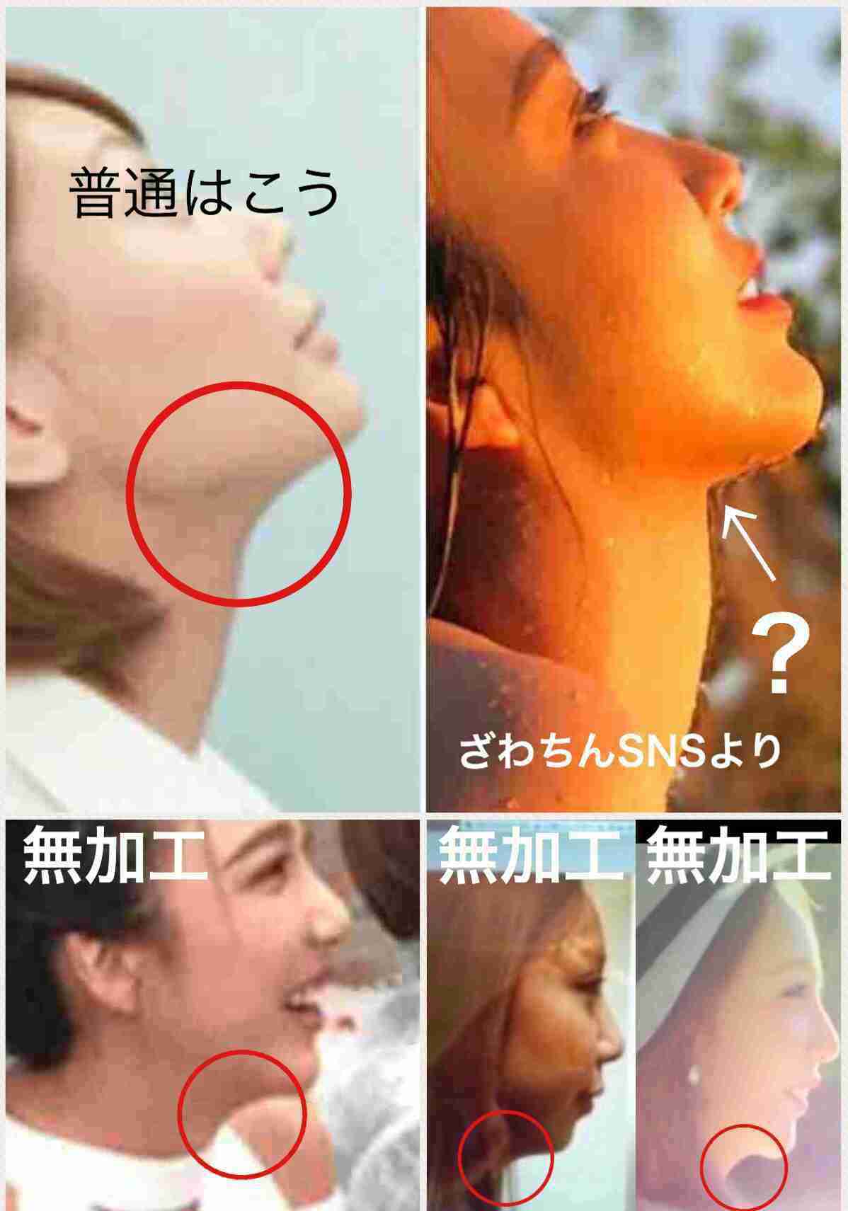 2年前の廃盤コスメ紹介、「偽物グッチ」にインフル狂言…ざわちんの