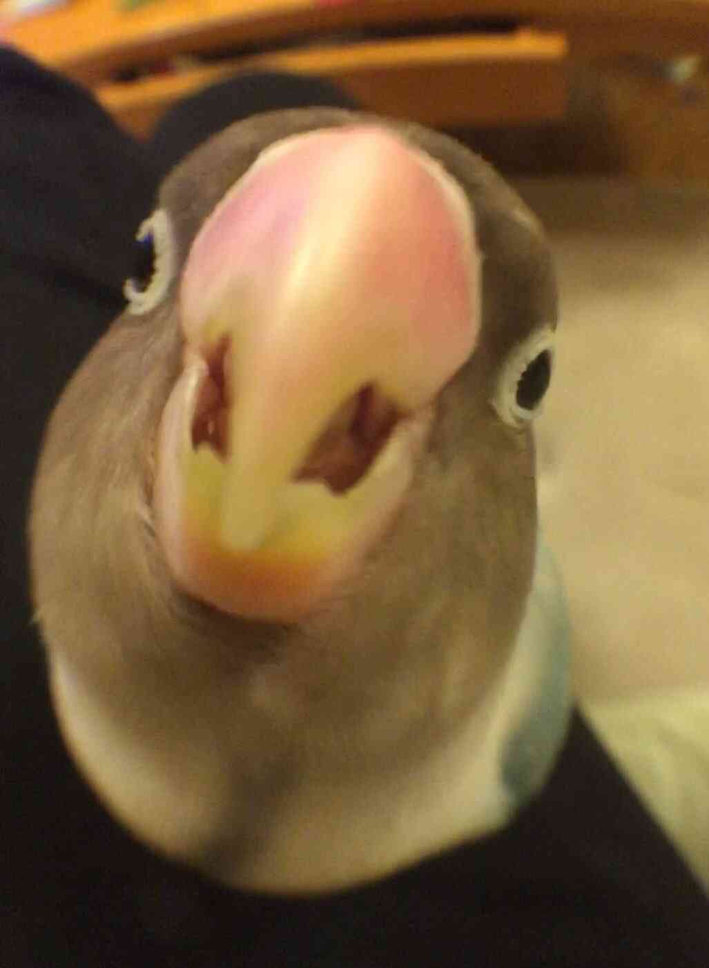 5分あげます。どんな番組作りますか？