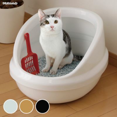 家族の男性のトイレは立ってor座ってしますか？