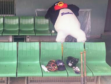 【実況・感想】野球・侍ジャパンシリーズ2018「日本」VS「オーストラリア」