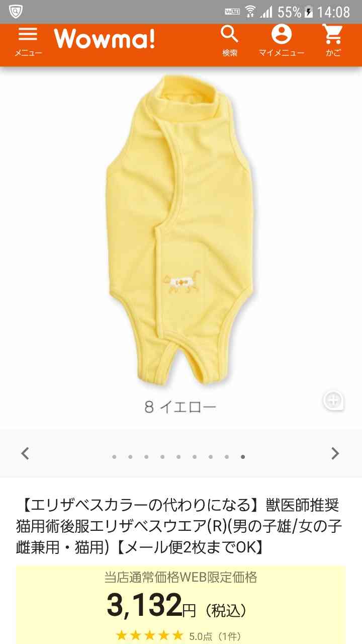 ひたすら猫鍋画像。