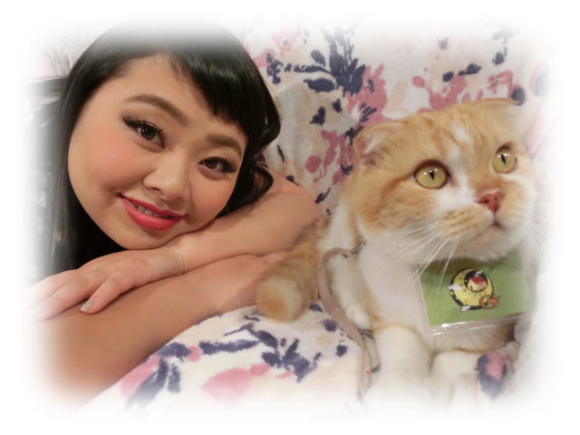 ひたすら猫鍋画像。