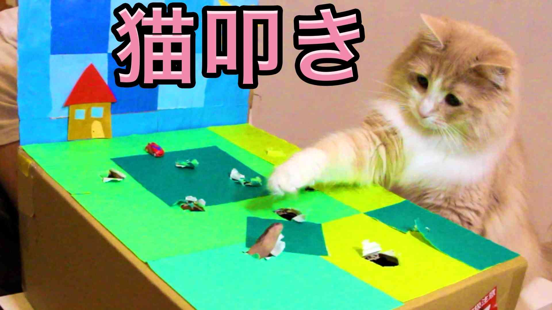 ひたすら猫鍋画像。