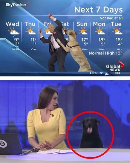 お天気コーナーあるある