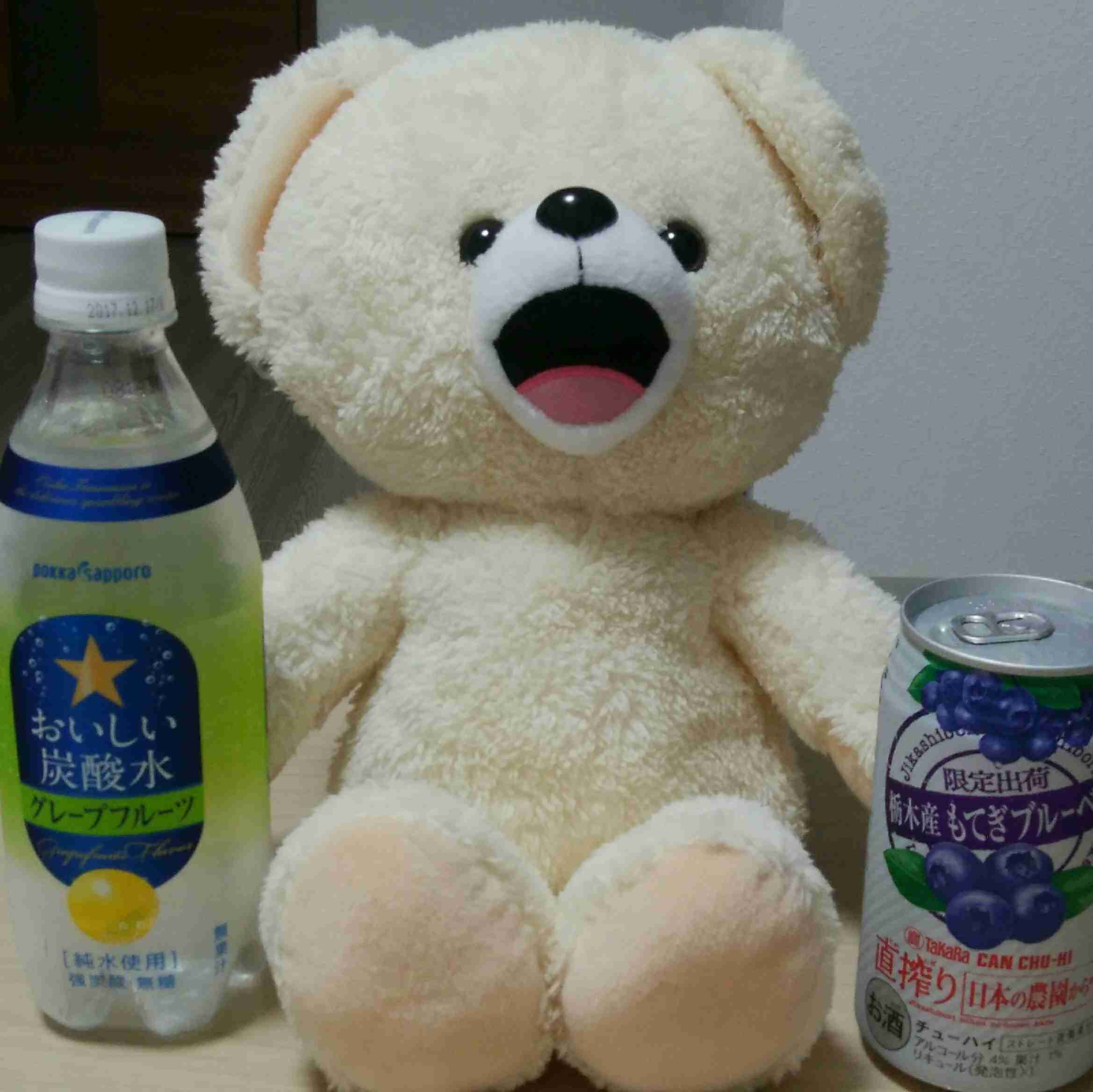 日本企業の商品のオススメpart10