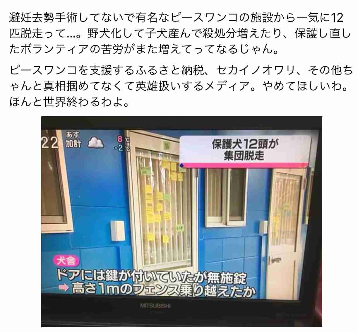 犬や猫の「繁殖業者を免許制に」 浅田美代子さんが環境相に要望