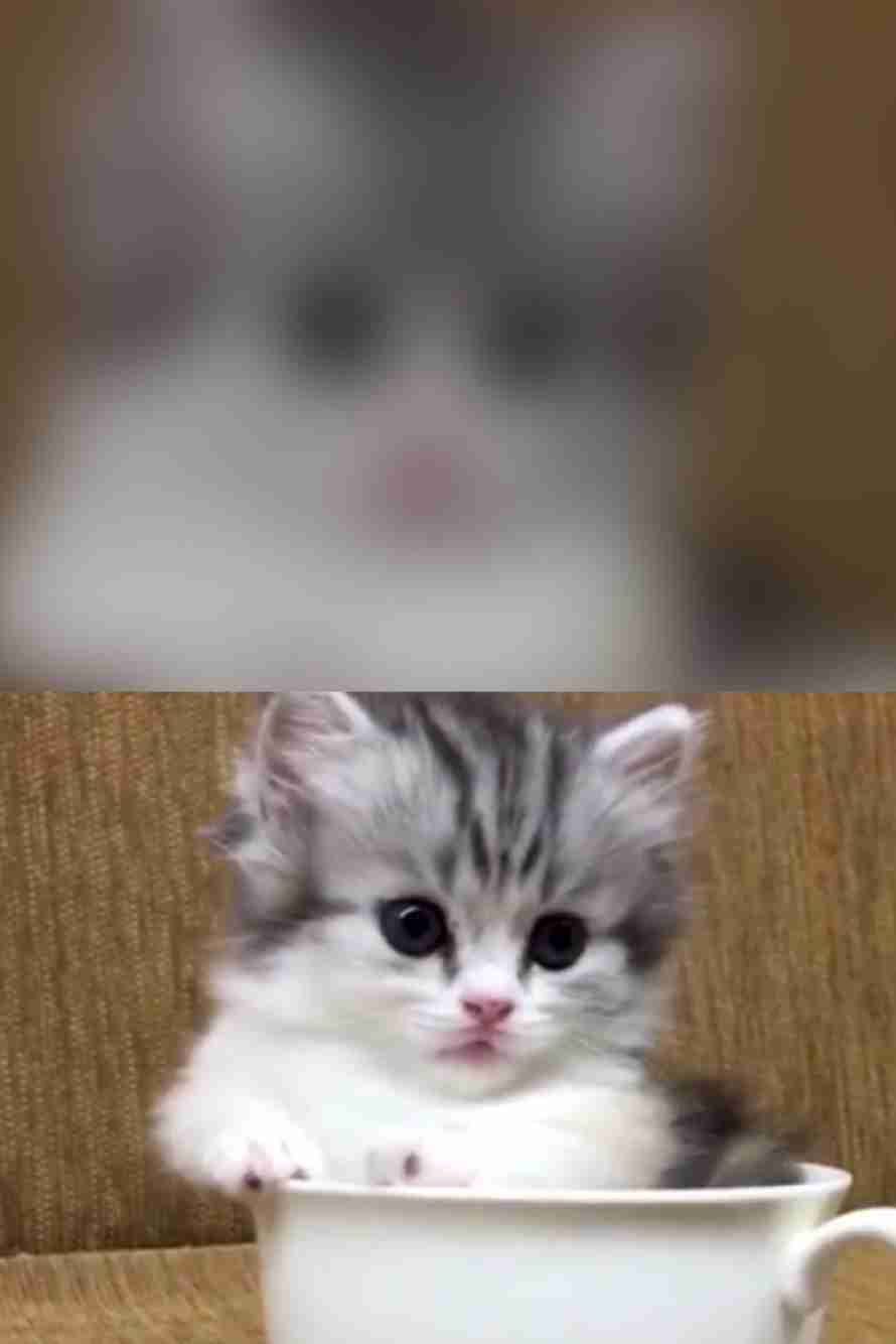 ホワイトだと思う職業