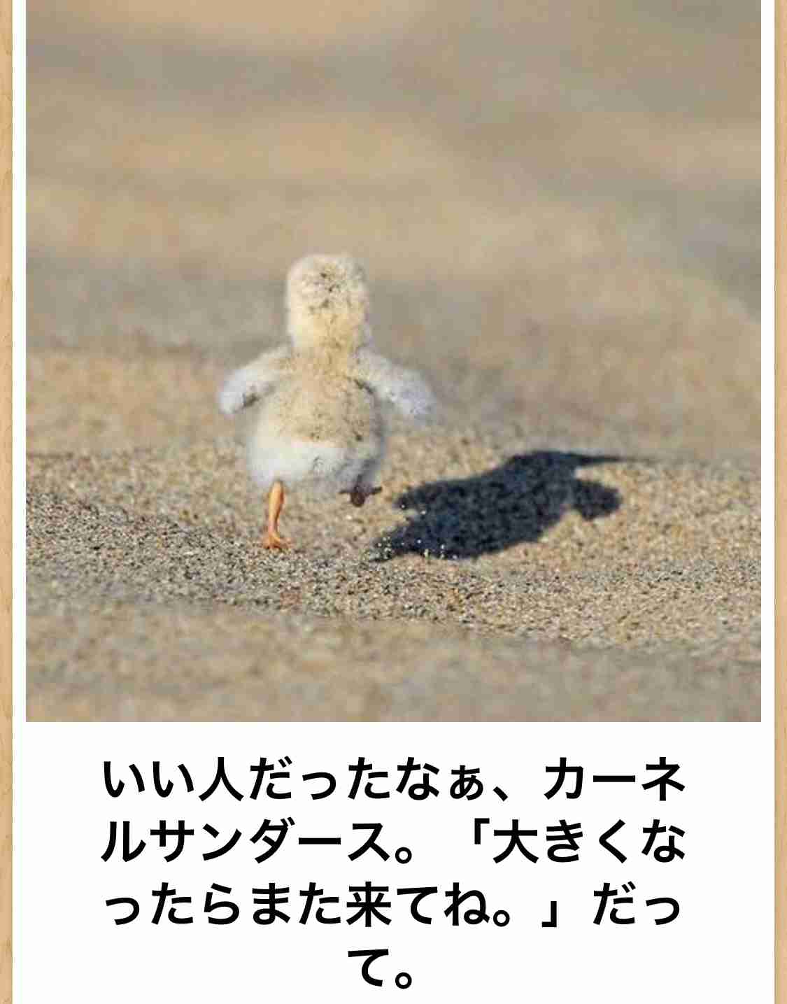 闇が深い画像