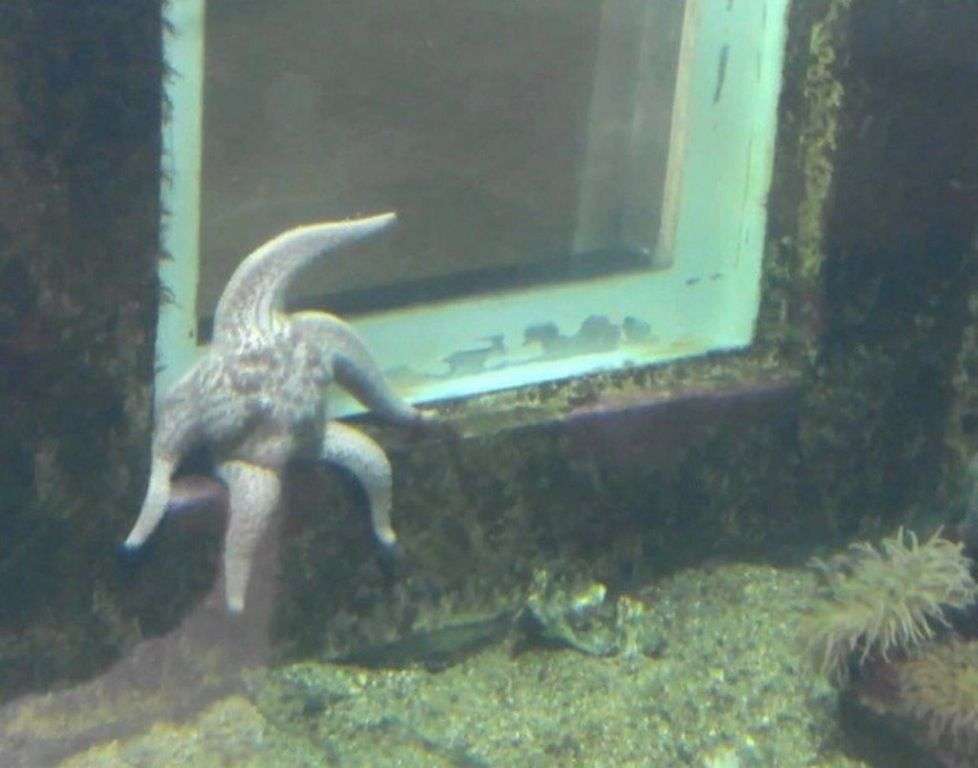 闇が深い画像