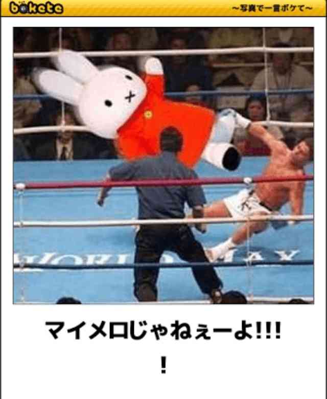 気の強そうな顔画像を貼るトピ