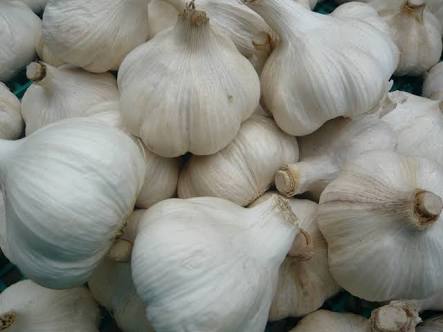 気の強そうな顔画像を貼るトピ