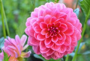 自分の名前が嫌でたまらない方いますか？